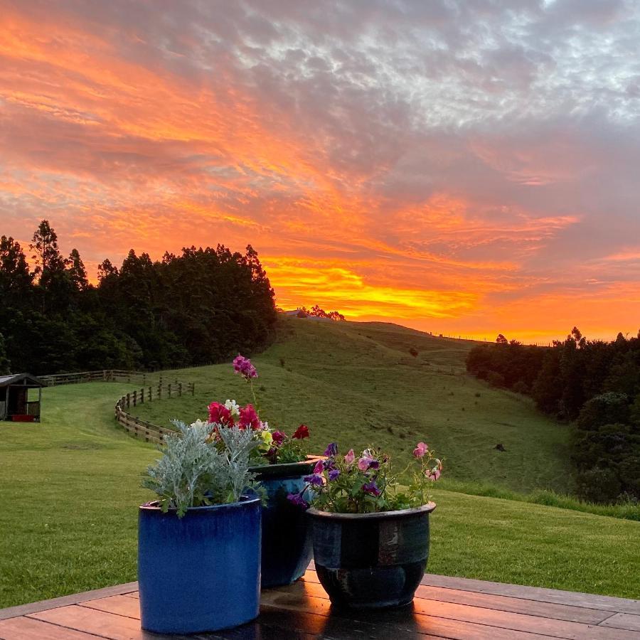 Kauri Glen Bnb Te Arai Zewnętrze zdjęcie