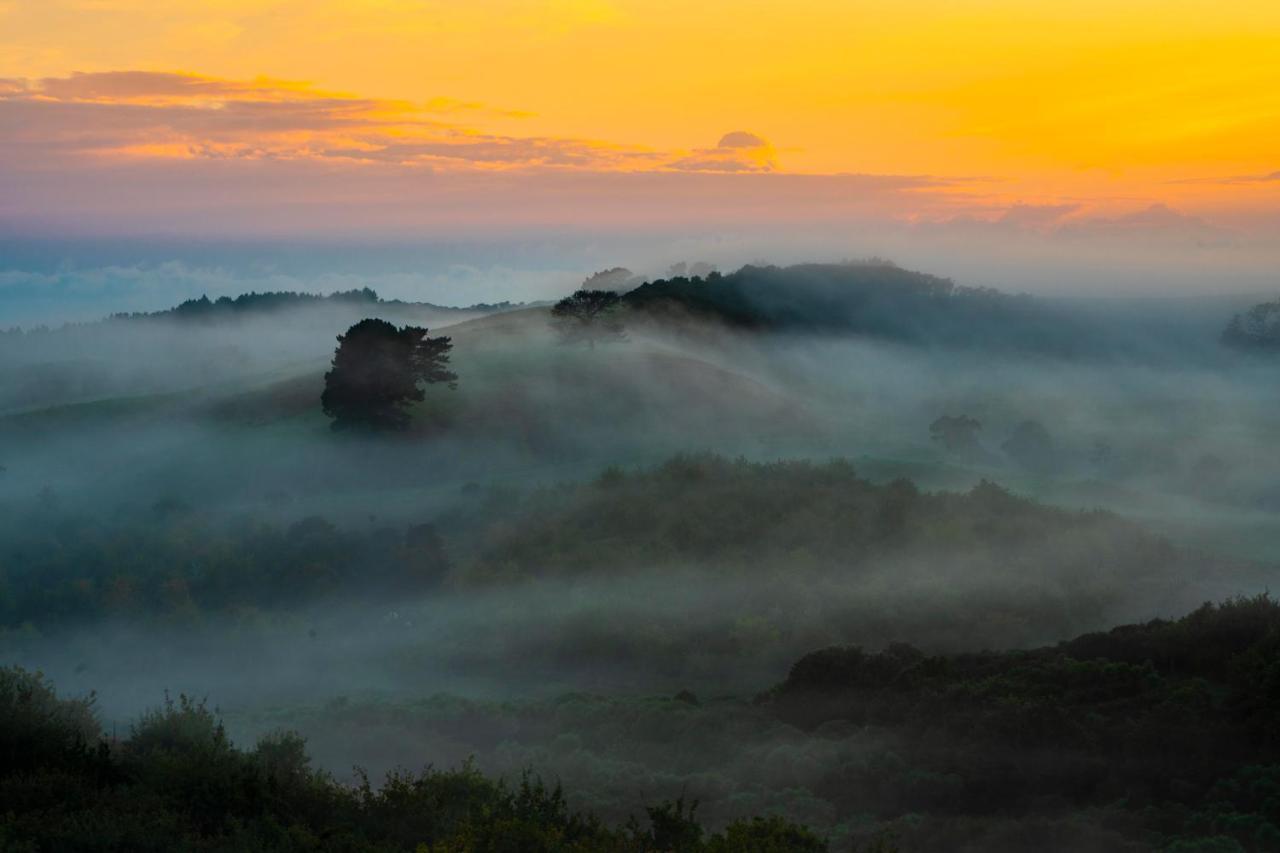 Kauri Glen Bnb Te Arai Zewnętrze zdjęcie