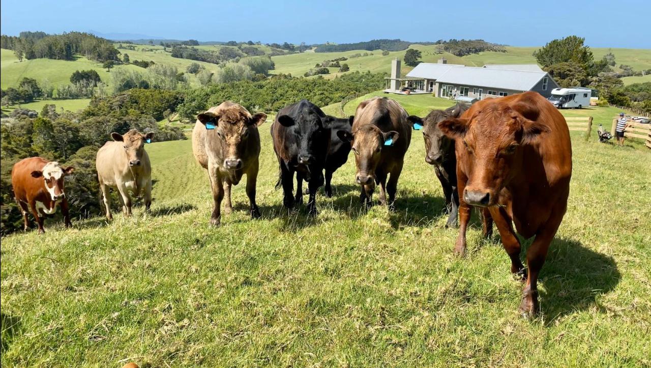 Kauri Glen Bnb Te Arai Zewnętrze zdjęcie