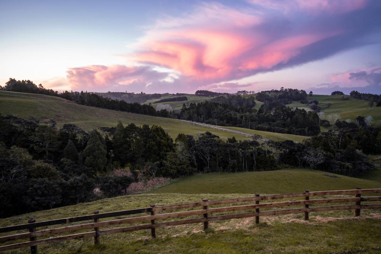 Kauri Glen Bnb Te Arai Zewnętrze zdjęcie